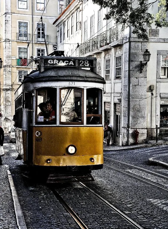 Charming Apartment For A Great Stay In Lisbon